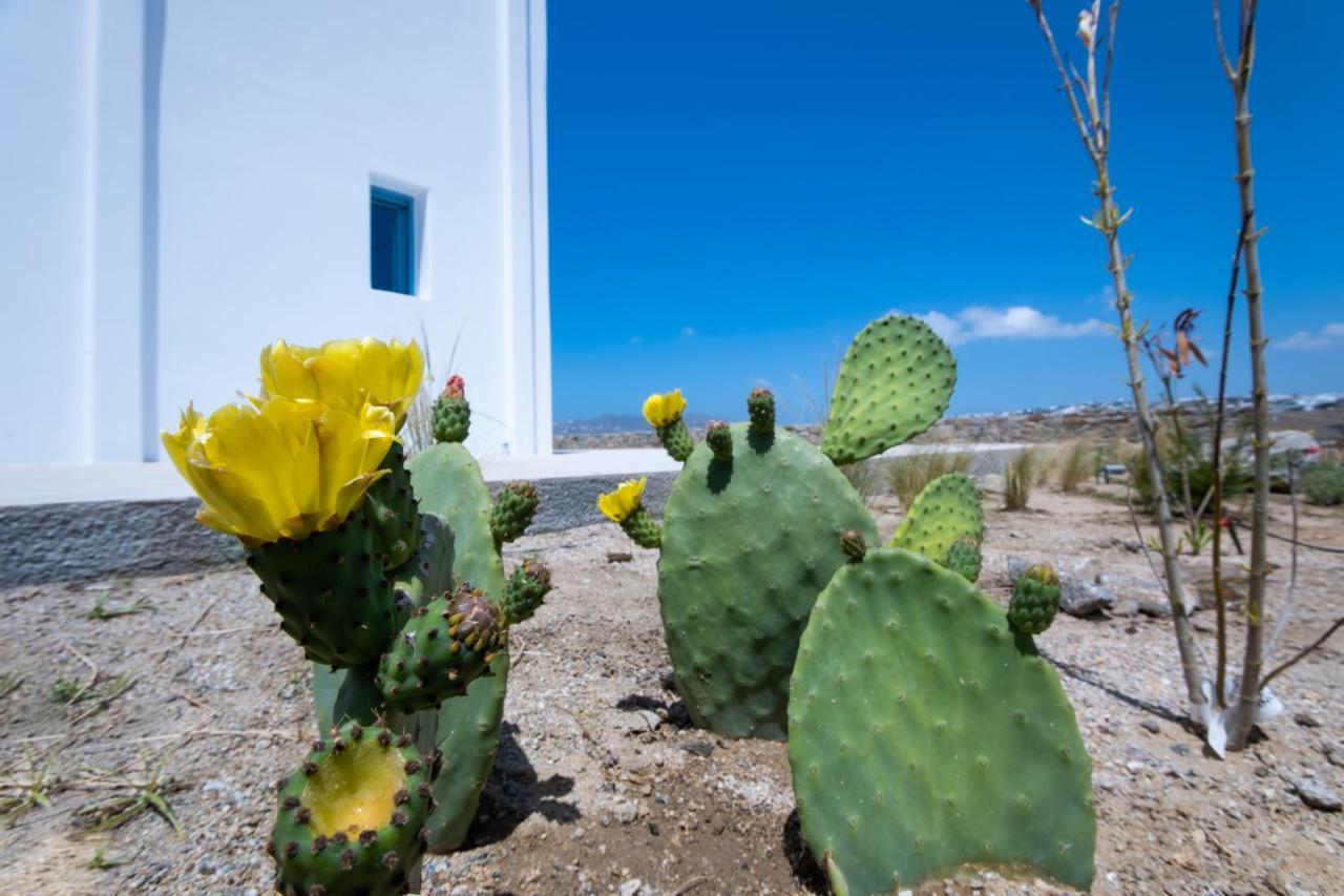 Lilly Villa By Bestofmikonos Орнос Экстерьер фото